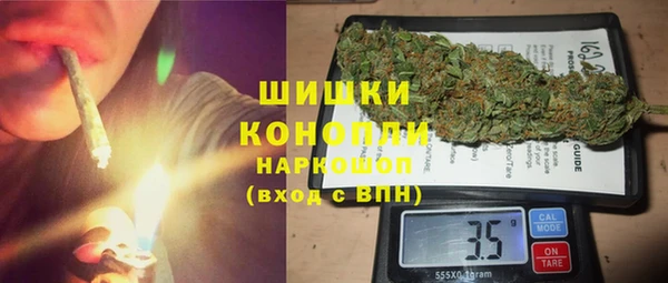 молекула духа Бородино