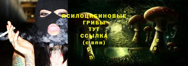 марки lsd Бугульма
