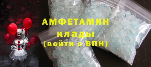 молекула духа Бородино