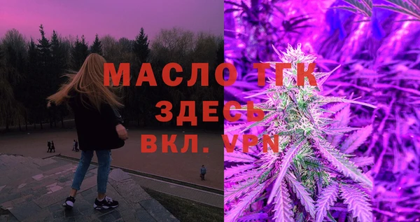 молекула духа Бородино