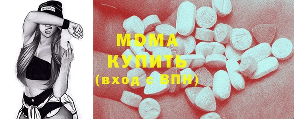 молекула духа Бородино