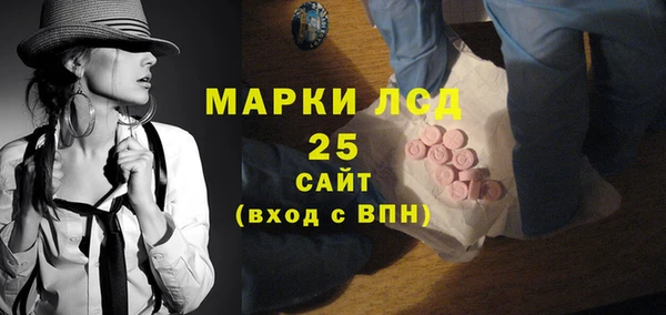 молекула духа Бородино