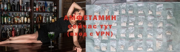 молекула духа Бородино